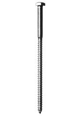 Isolated Wood Screw, Studio