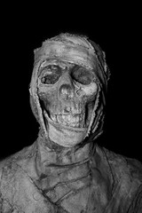 Closeup head of mummy on background