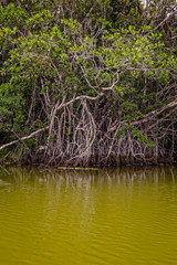 Amazon River, South America