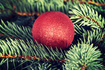 One christmas ball over tree.