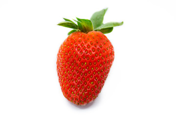 Strawberry on white background