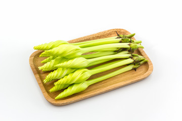 Moonflower (Ipomoea alba L).