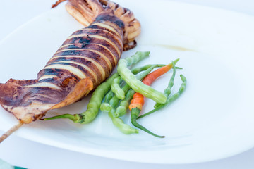 Fresh grilled squid with spicy on plate on white background