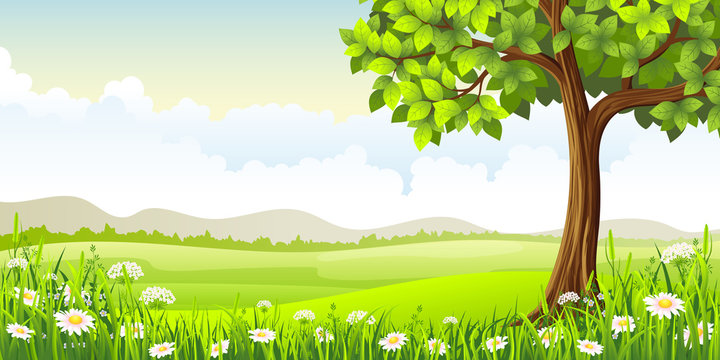 Summer panorama landscape with tree and flowers