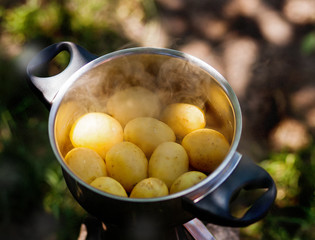 Boiled potatoes in a saucepan with steam