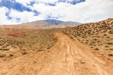 landscape of red sandstone