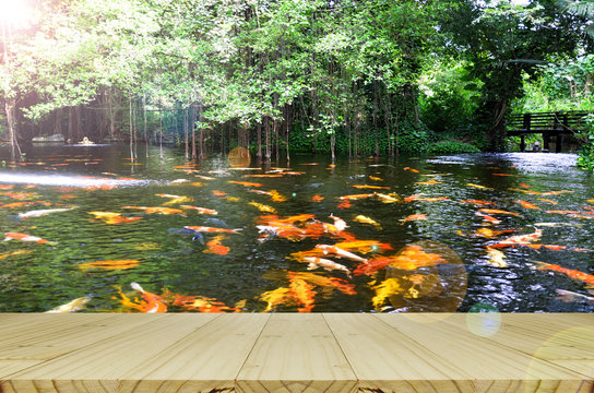 Perspective Wood View With Backyard Koi Fish Pond Background.