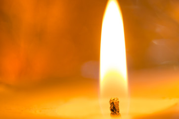 candle light macro