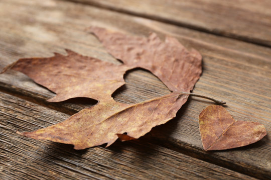 Dried autumn leaf with cutout heart on wooden background