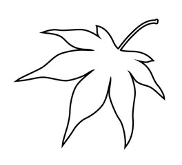 Silhouette the leaves.