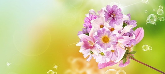 Fototapeta na wymiar Assorted flower.Beautiful bouquet pink flowers.Lily,orchids,pink chamomile,