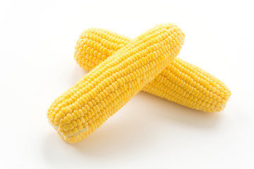 fresh corn