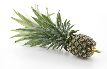 Fototapeta premium fresh pineapple