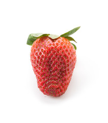fresh strawberry
