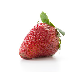 fresh strawberry