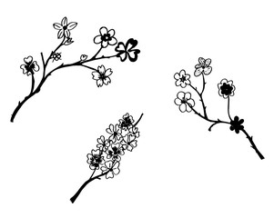 Set of flower doodles flower

