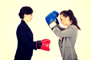 Two businesswomen with boxing gloves.