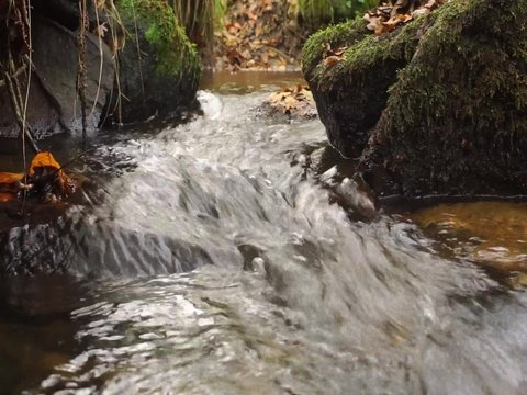Nat&uuml;rlicher Bach fliesst im Wald