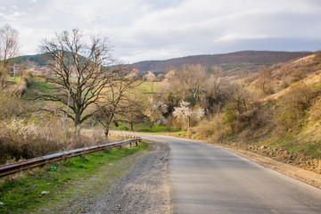 Fototapeta na wymiar Asphalt rural road with trees and beautiful sky