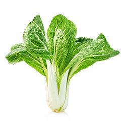 Chinese lettuce in isolated on a white background © bestphotostudio