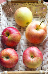 Fresh harvest of apples  on wooden background. Nature fruit concept