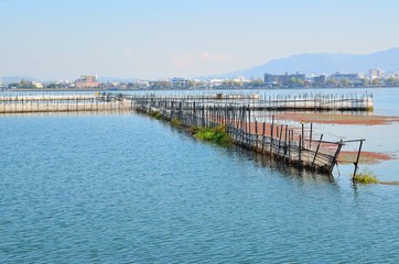 琵琶湖のえり漁