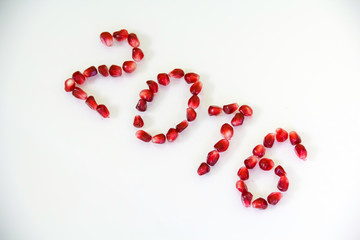 The inscription 2016 New Year. Berry Pomegranate.
