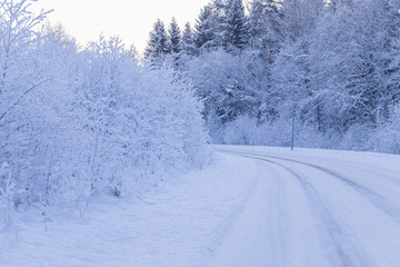 Obraz premium Winter evening forest with road covered with snow