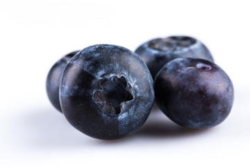 Blueberries on white background