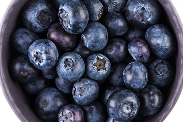 Blueberries on white background