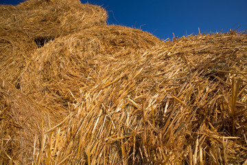 Fototapeta na wymiar Piled hay bales on a field against blue sky
