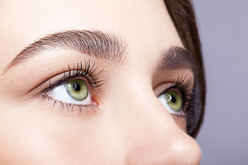Obraz premium kobieca strefa oczu i brwi z dziennym makijażem