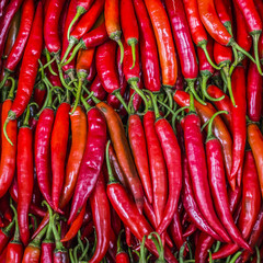 Red chili peppers, closeup view
