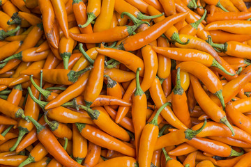 Orange chili peppers, closeup view