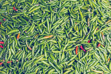 Orange chili peppers, closeup view