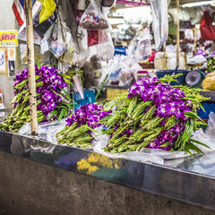 asian violet orchids sells in local market,thailand
