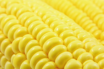 Grains of fresh corn background
