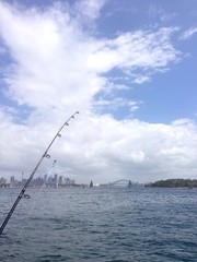 fishing in the sydney harbour