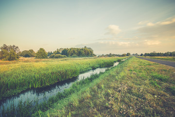 Obraz premium Foggy morning over the meadow in Poland.