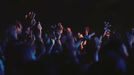 Concert people crowd fans hands in the air.Various crowd shots from an outdoors summer/autumn rock music festical
