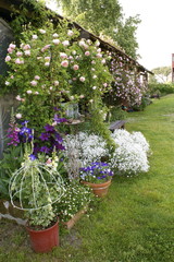 Giardino