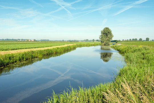 Tree and contrails reflected in a small stream