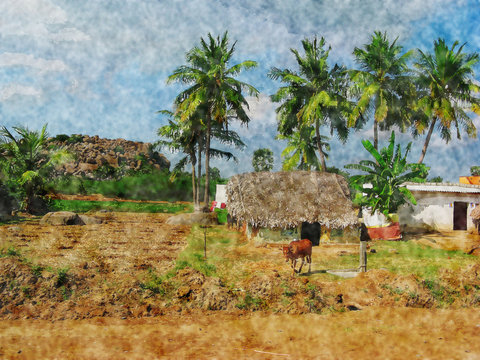 Watercolor. Indian village, Tamil Nadu. Lonely cow.