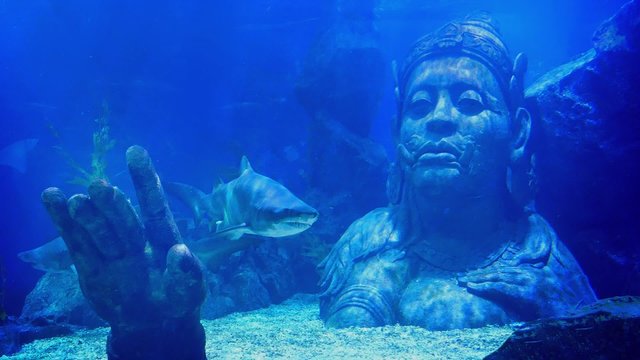 Shark Swims Near Submerged Ancient Statue Of Man