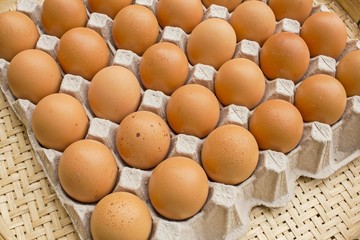 Eggs - Chicken Eggs 
