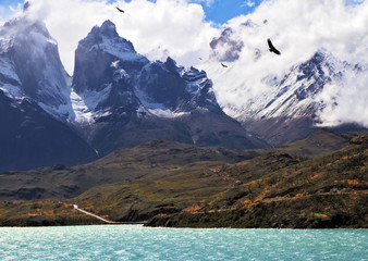 On the lake flies giant Andean condor