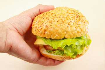 Hand man with a tasty hamburger close up