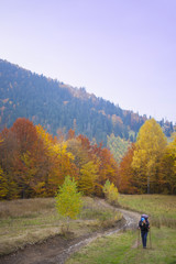 Girl walking in the forest.