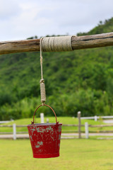 Red bucket hanging in pasture