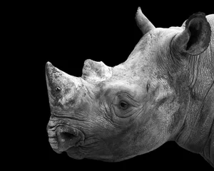 Papier peint photo autocollant rond Rhinocéros portrait en noir et blanc d& 39 un rhinocéros noir